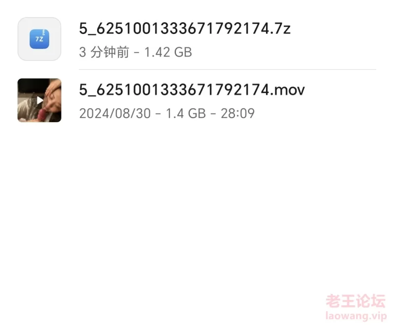 Screenshot_20240923_234303_com_hihonor_filemanager_StorageActivity.jpg