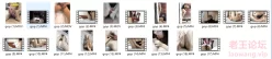 <b style='color: red;'>[已失效] </b>【补链】Beautyfoot合集 足交/足控【nP+nV 132G】【阿里云】