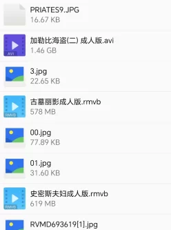 [转载搬运] 经典影片成人版终极珍藏集 [46V+51G][附件下载]