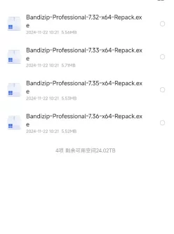 Bandizip 7.36(解压缩软件)优化版